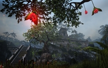 Trailer The Elder Scrolls Online