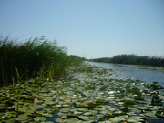 Jurnal de călătorie: Sulina