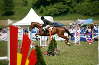 Transylvania Horse Show – concurs hipic lângă Sighişoara