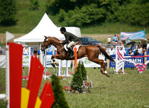 Transylvania Horse Show – concurs hipic lângă Sighişoara