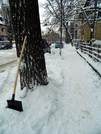 Fotoreportaj: Sfârşit de ianuarie în Bucureşti