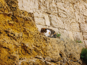 Malta, de la superbissima Valletta la sălbatica Gozo