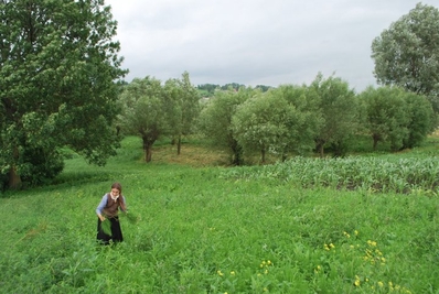 Beatrice Iordan (Trei Parale) - Nică în variantă feminină