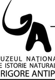 Ateliere de joacă şi dezvoltare pentru copii