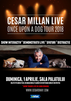 Cesar Millan Live! The Dog Whisperer revine la București!