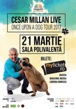 CESAR MILLAN soseste la Bucuresti! Care sunt pretentiile antrenorului canin pentru show-ul de la Sala Polivalenta