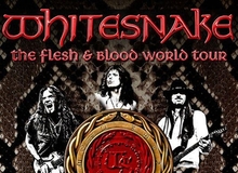 Whitesnake la Bucuresti: Program si Reguli de Acces