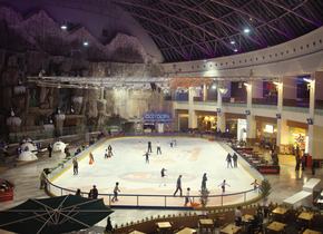 Patinoar de București