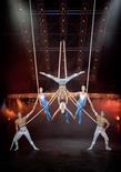 Quidam by Cirque du Soleil. Program și reguli de acces